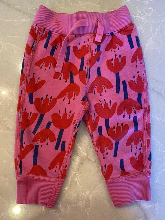 Hanna Andersson Other - Hanna Andersson Pink Joggers with Red Floral Print